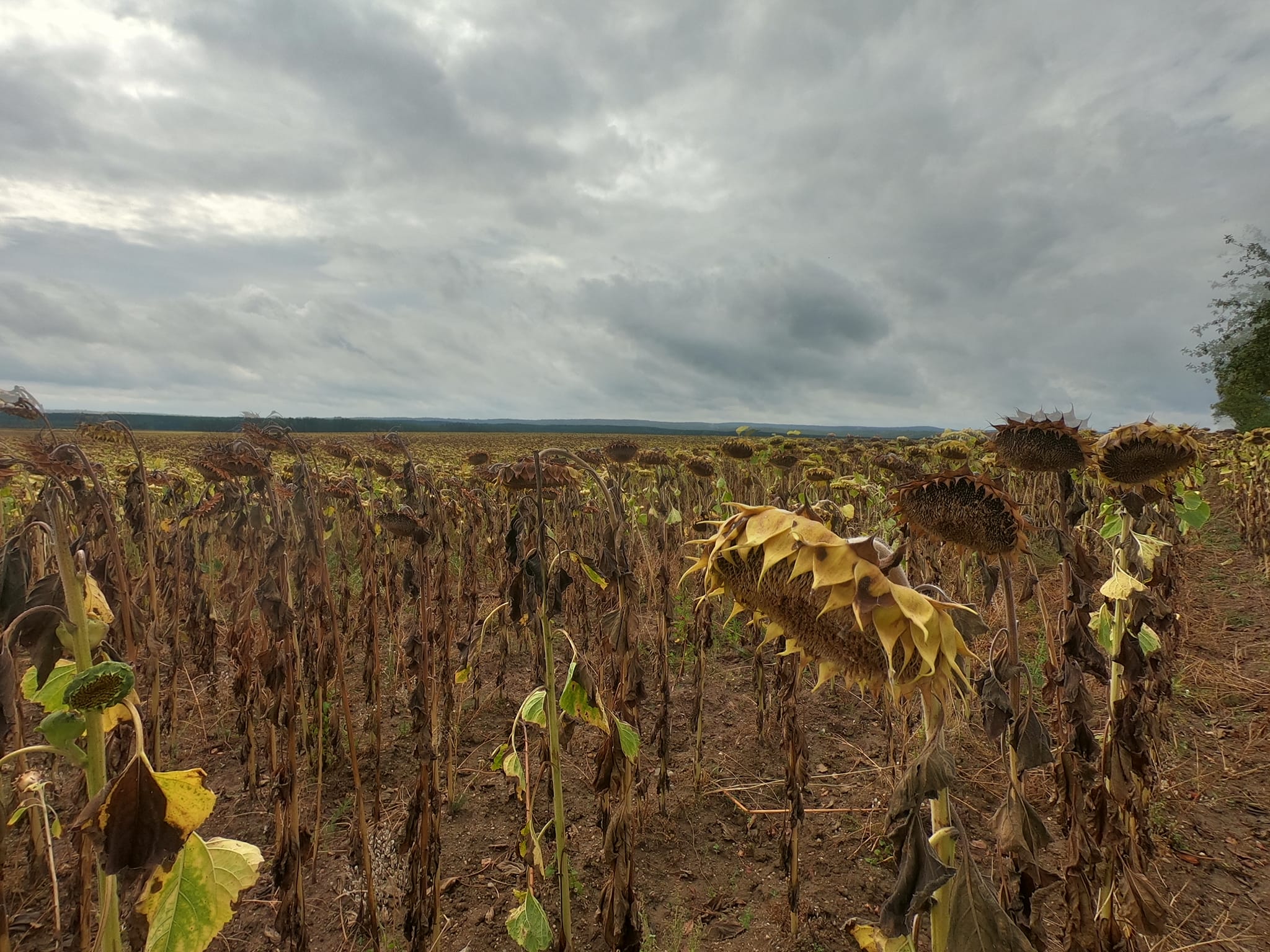 Exploring Germany: Bikes, Brews, and Beautiful&nbsp;Trails