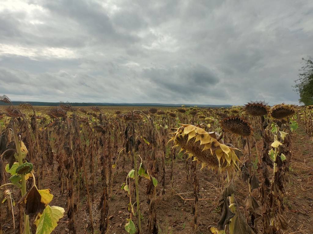 Exploring Germany: Bikes, Brews, and Beautiful&nbsp;Trails