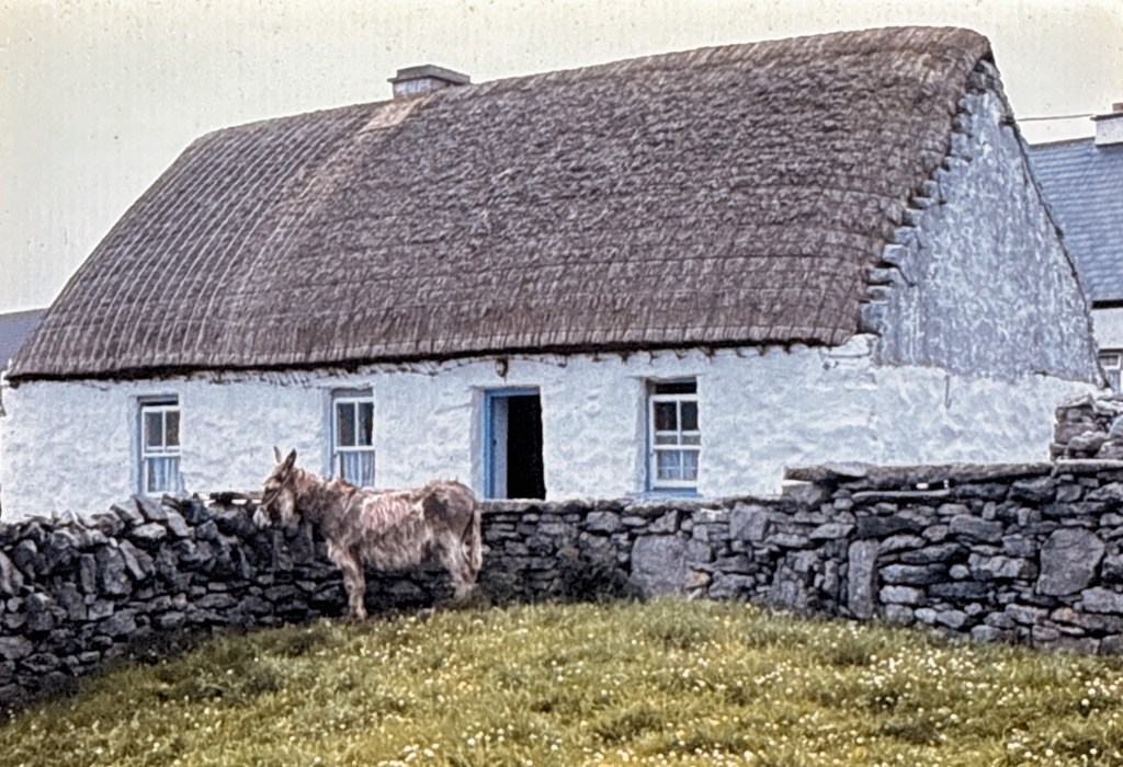 Thatched roof cottage