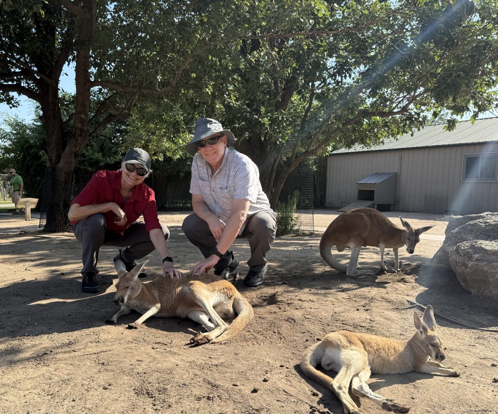 Petting kangaroos